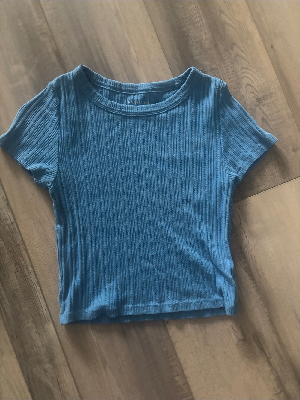 American Eagle Outfitters Ribbed Crop Top in Teal Blue
